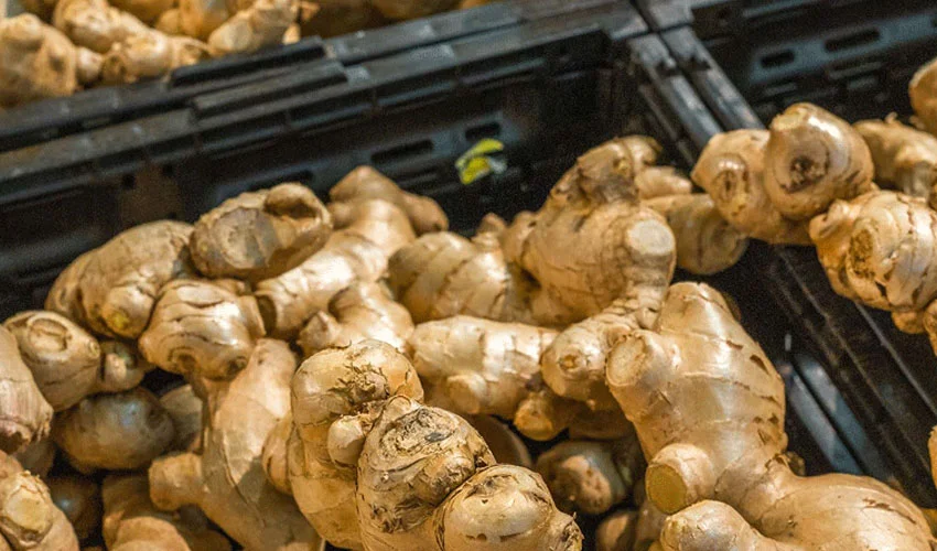 Ginger may help lower blood sugar, says study