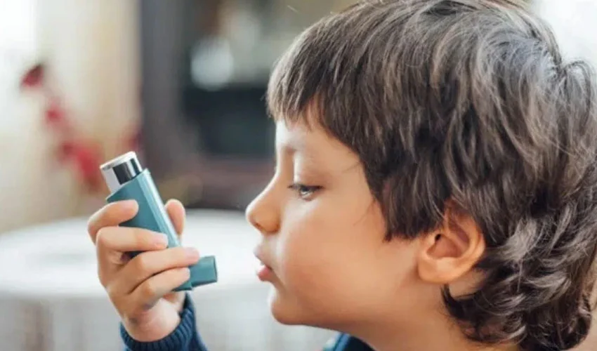 Study Links Fatty Foods to Higher Asthma Risk in Children